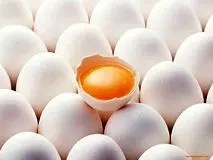 مخالفت مرغداران با آزادسازی قیمت تخم‌مرغ