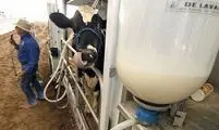 شیر فله‌ای قابل کنترل نیست