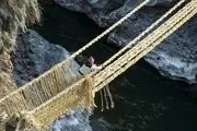 ساخت پل با علف/ عکس