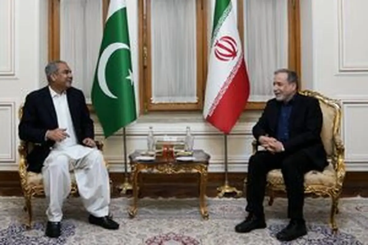 وزیر کشور پاکستان با عراقچی دیدار کرد +فیلم