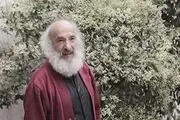 سینمای ایران پر درد است