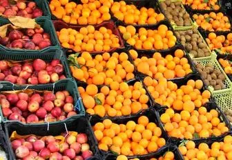 توزیع ۷۰ هزار تن سیب و پرتقال شب عید از امروز با ۱۰ تا ۲۰درصد تخفیف