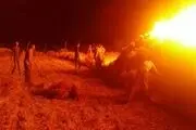 سریال دنباله دار خرمن سوزی در راور به روستای جلال آباد رسید+تصاویر