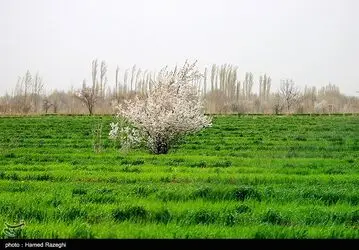 eaad7ded-433e-43d3-97d3-1f8817cba7fe
