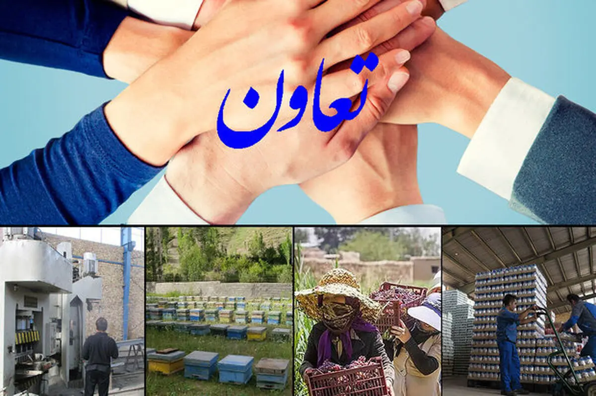 اشتغال زایی برای یک میلیون ۸۰۰ هزار نفر توسط بخش تعاون