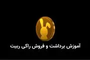 آموزش کامل تصویری برداشت، فروش و نقد کردن راکی رابیت