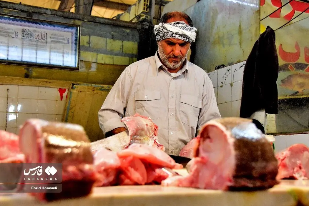 بازارماهی فروشان آبادان/گزارش تصویری