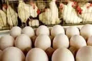 وفور مرغ و تخم‌مرغ در بازار تهران