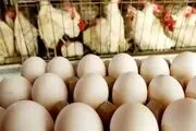 وفور مرغ و تخم‌مرغ در بازار تهران