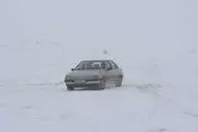 بارش برف در چاراویماق مراغه و خلخال / گزارش تصویری