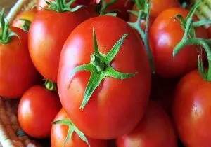 تکرار سریال گران شدن گوجه فرنگی در سرما