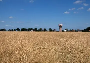 n00159054-r-b-013