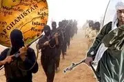 طالبان درصدد اعلام آتش‌بس به مناسبت عید قربان