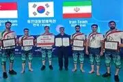 زورخانه ایران پنجمین تیم برتر در مسابقات هنر‌های رزمی
