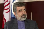 واکنش تند سخنگوی سازمان انرژی اتمی به طرح اصلاح برجام