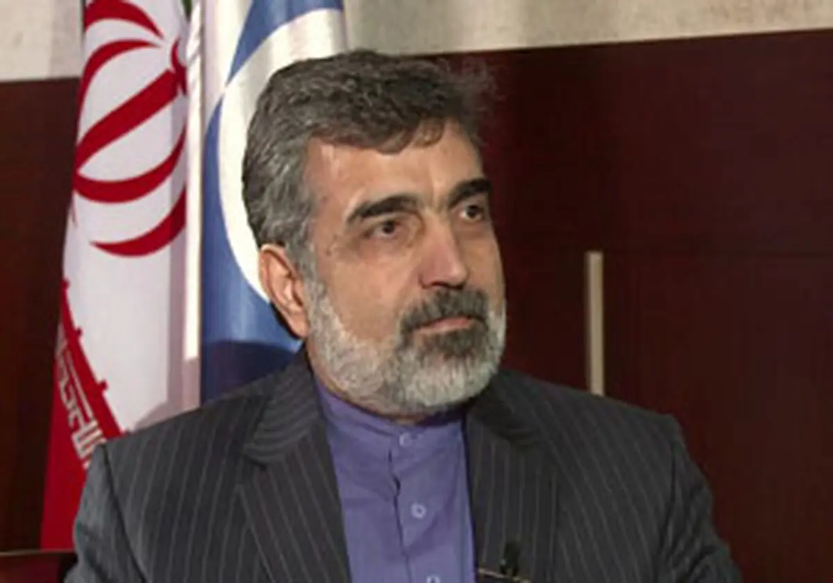 واکنش تند سخنگوی سازمان انرژی اتمی به طرح اصلاح برجام