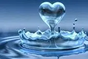 حکمت در چه دل‌هایی جای می گیرد؟

