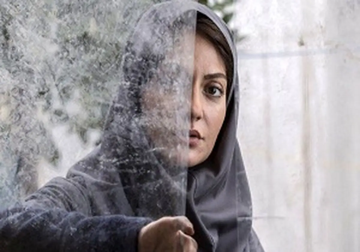 قالیباف مهمان ویژه بهروز شعیبی برای تماشای "دارکوب"