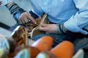 نقش نظام بانکی کشور در رکود بازار کفش 