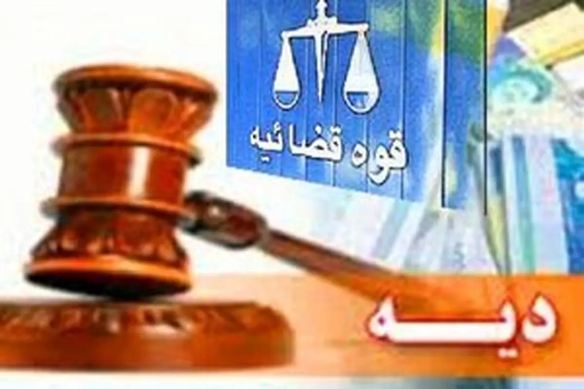 نرخ دیه سال ۱۴۰۲ اعلام شد