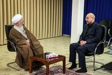 دیدار رئیس مجلس شورای اسلامی با مراجع عظام تقلید در قم/گزارش تصویری
