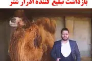 واکنش فردی که مدعی درمان کرونا با ادار شتر شد بعد از دستگیری/ فیلم