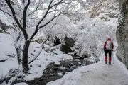 کوهپیمایی در ارتفاعات سفیدپوش تهران/ گزارش تصویری