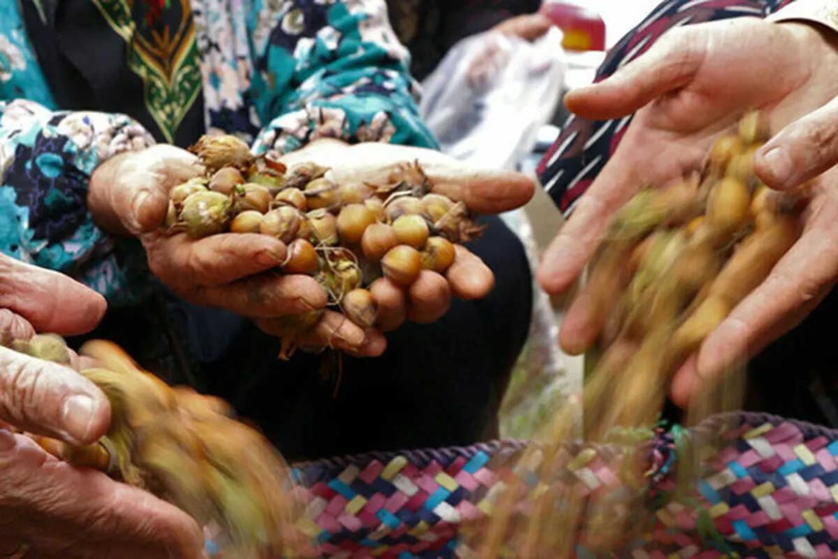 ماجرای مرگ مشکوک مادر یک روزنامه نگار