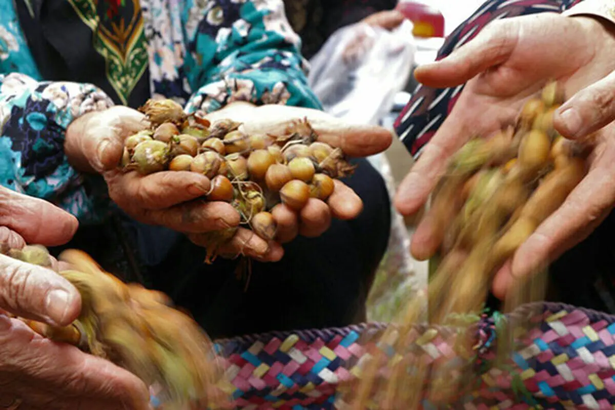 ماجرای مرگ مشکوک مادر یک روزنامه نگار