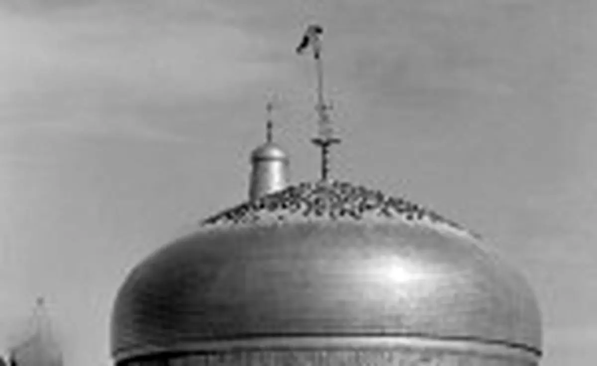 پیاده در مسیر عاشقی