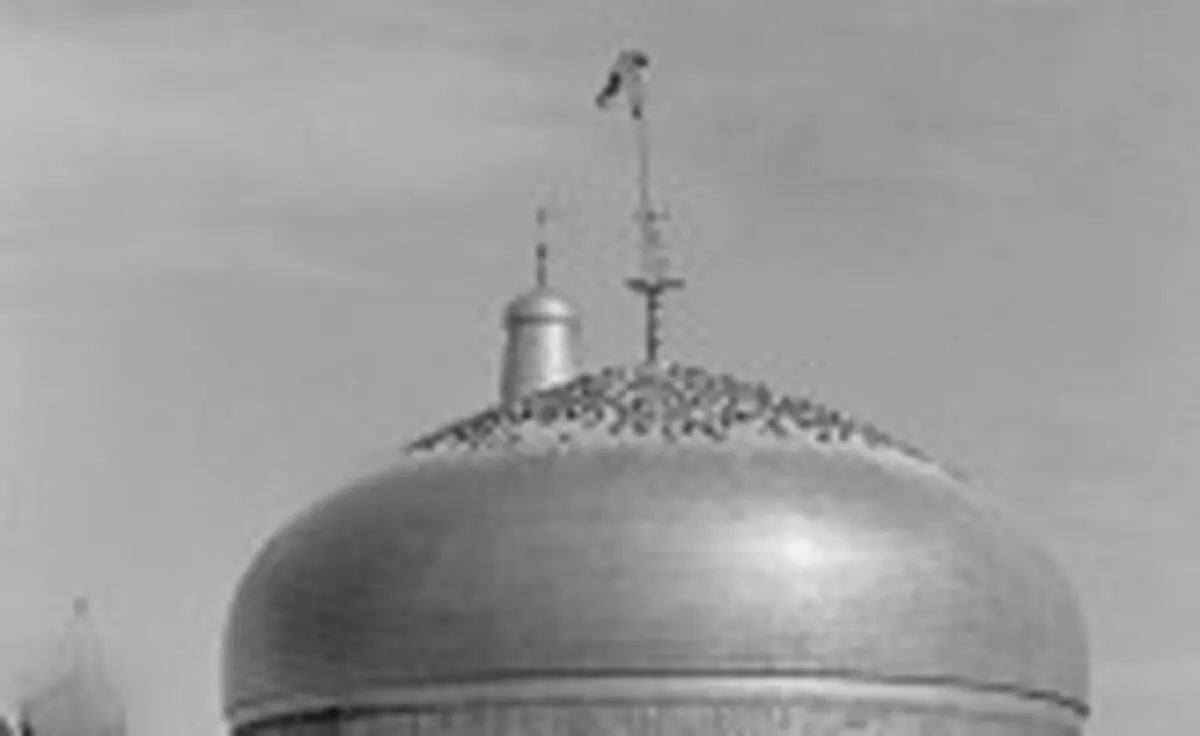 پیاده در مسیر عاشقی