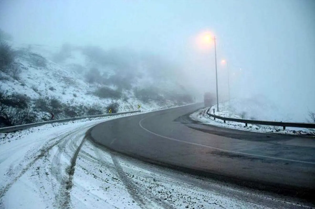 تصویری جالب از پرنده و شدت سرما