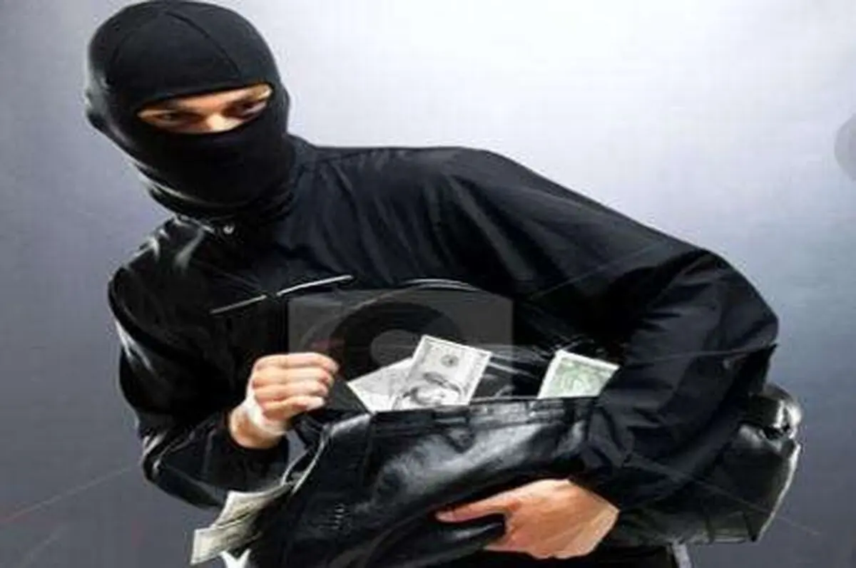 دزدی عجیب این مرد رکورد زد + عکس