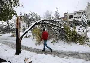 
خسارت بیش از 27 میلیارد ریالی بارش برف در اردبیل
