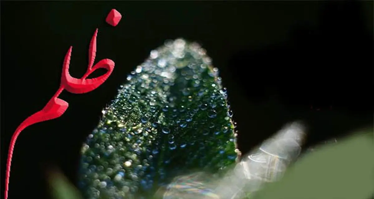 ظلم از چه امورى سرچشمه مى گیرد؟