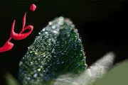 ظلم از چه امورى سرچشمه مى گیرد؟