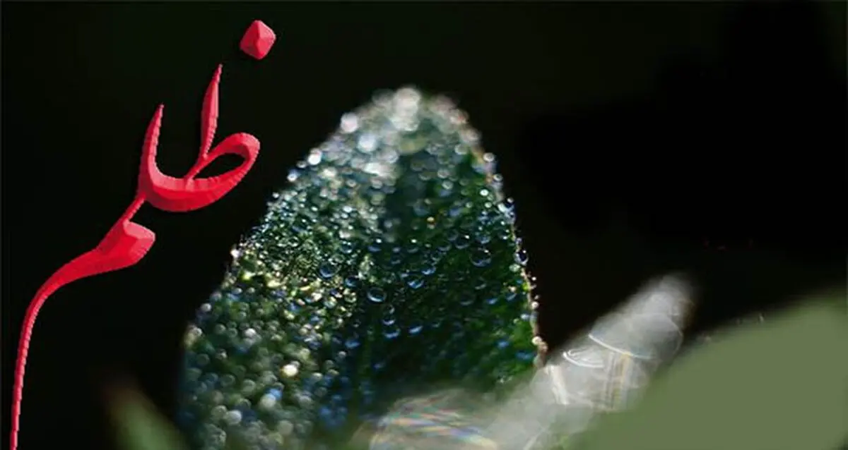 ظلم از چه امورى سرچشمه مى گیرد؟