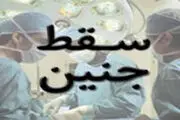  تاثیر سقط‌های «غیرعمد» در نرخ رشد جمعیت کشور