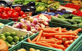 کاهش ۱۰ تا ۱۵ درصدی قیمت پیاز و گوجه فرنگی