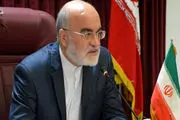 رئیس سازمان بازرسی: جو ایجاد شده در کشور سیاه نمایی است