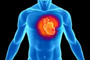 7 ماده طلایی برای تقویت قلب+ اینفوگرافی