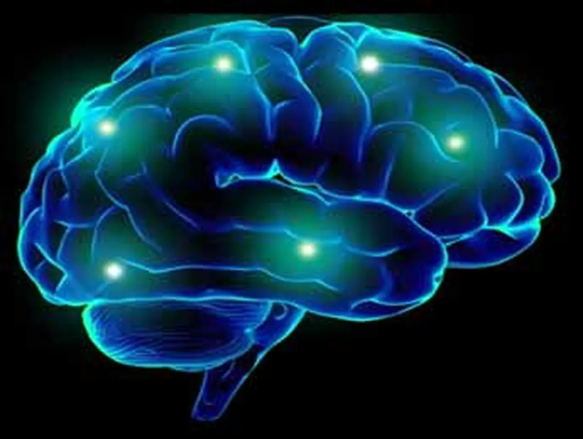 Treat your brain right