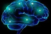 Treat your brain right