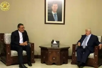 دیدار حسین جابری انصاری با وزیر خارجه سوریه 