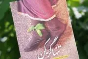 کتابی که رهبر انقلاب آن را «عالی» توصیف کردند