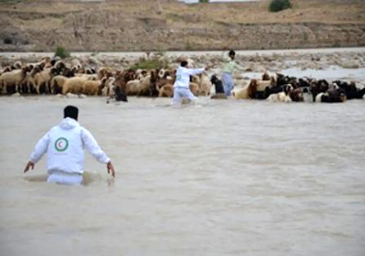 نجات دو چوپان پلدختری از سیل