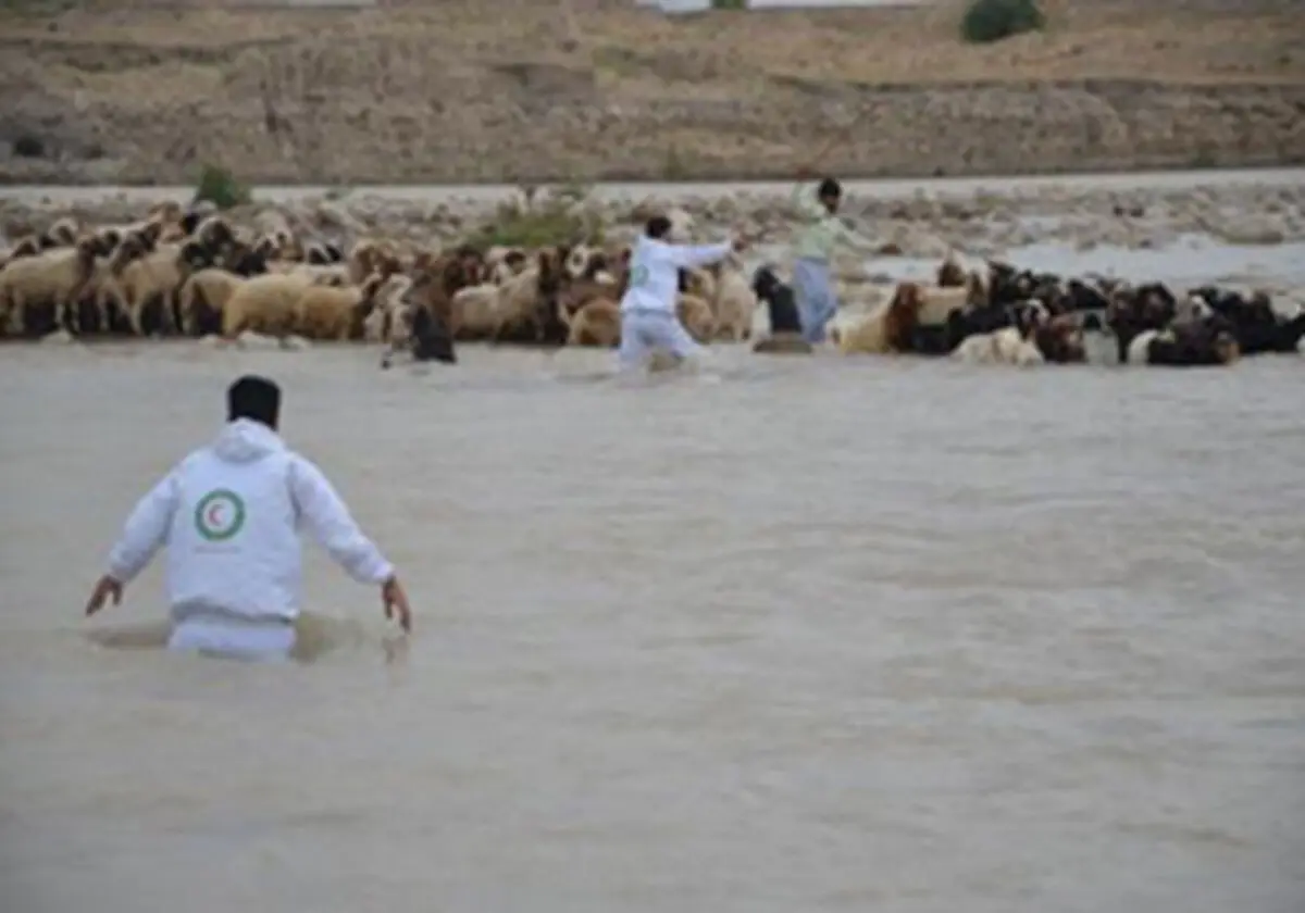 نجات دو چوپان پلدختری از سیل
