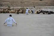 نجات دو چوپان پلدختری از سیل
