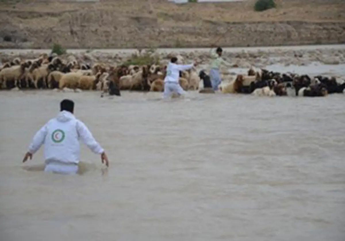 نجات دو چوپان پلدختری از سیل