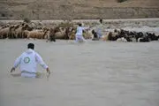 نجات دو چوپان پلدختری از سیل
